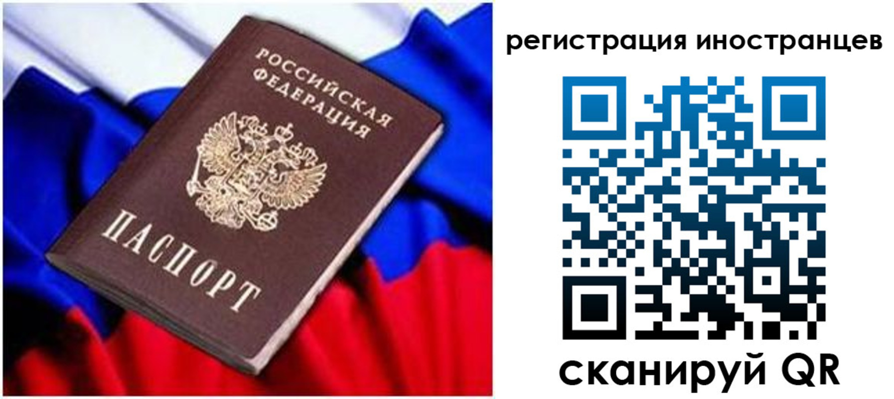 прописка для школы в Барыше